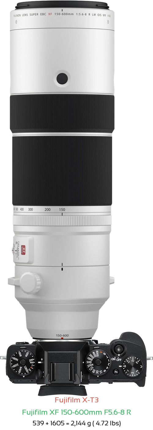 Fujifilm X-T3 with Fujifilm XF 150-600mm F5.6-8 R Lens Size