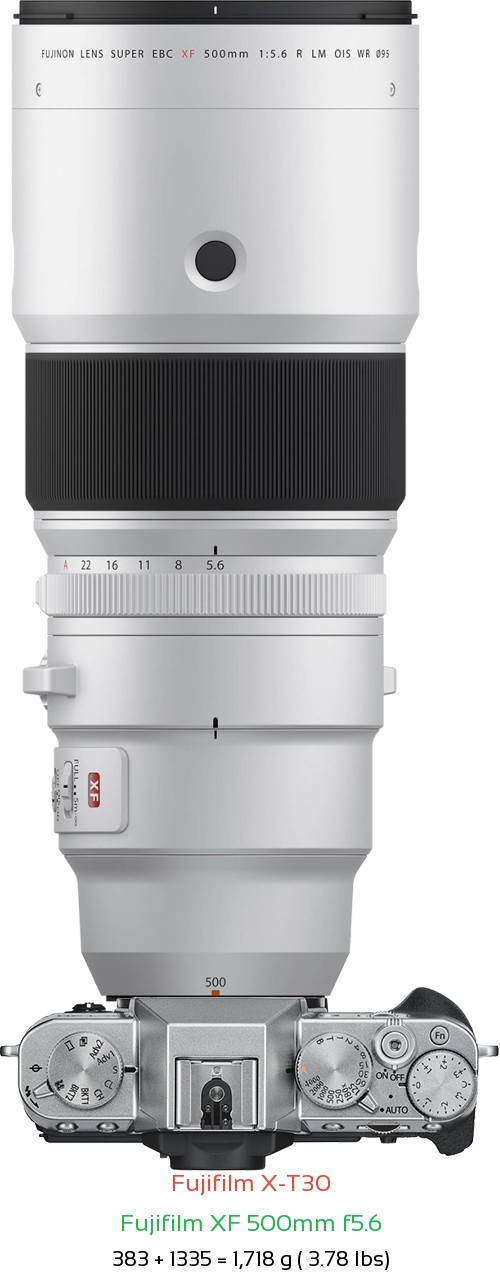 Fujifilm X-T30 with Fujifilm XF 500mm f5.6 Lens Size