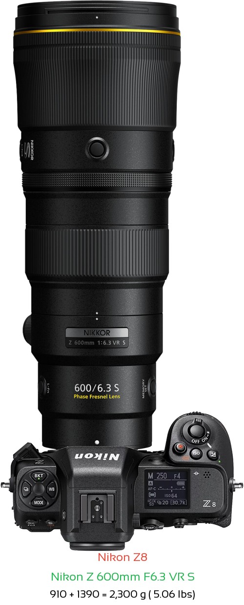 Nikon Z8 with Nikon Z 600mm F6.3 VR S Lens Size