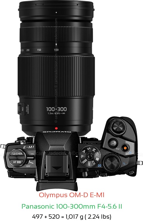 Olympus E-M1 with Panasonic 100-300mm F4-5.6 II Lens Size