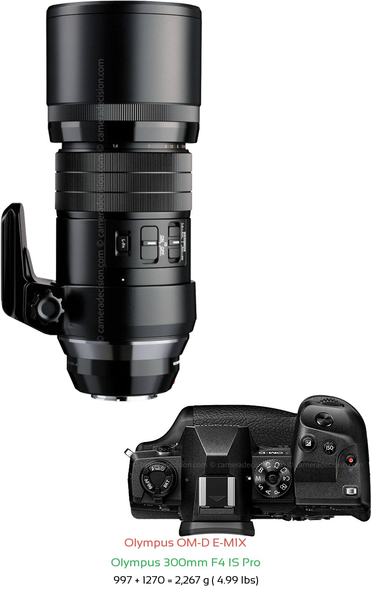 Olympus E-M1X with Olympus 300mm F4 IS Pro Lens Size