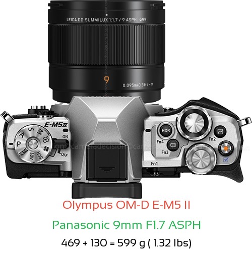 Olympus E-M5 II with Panasonic 9mm F1.7 ASPH Lens Size