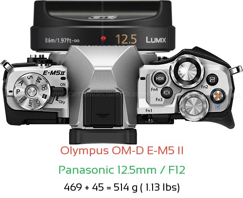 Olympus E-M5 II with Panasonic 12.5mm / F12 Lens Size