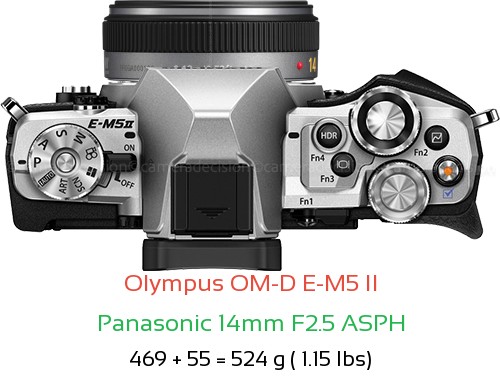 Olympus E-M5 II with Panasonic 14mm F2.5 ASPH Lens Size