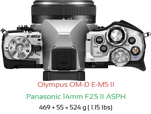 Olympus E-M5 II with Panasonic 14mm F2.5 II ASPH Lens Size