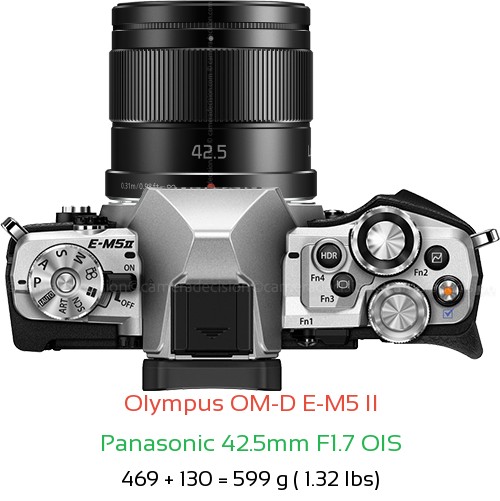 Olympus E-M5 II with Panasonic 42.5mm F1.7 OIS Lens Size