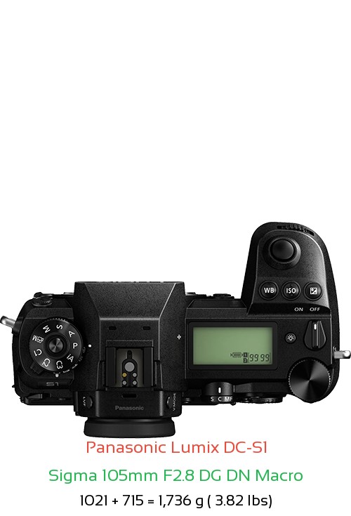 Panasonic S1 with Sigma 105mm F2.8 DG DN Macro Lens Size