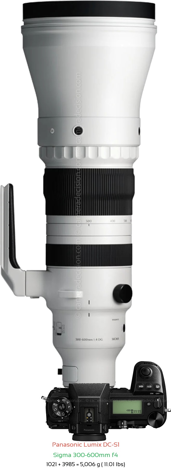 Panasonic S1 with Sigma 300-600mm f4 Lens Size