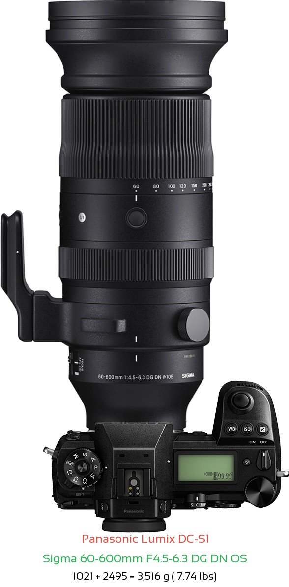 Panasonic S1 with Sigma 60-600mm F4.5-6.3 DG DN Lens Size