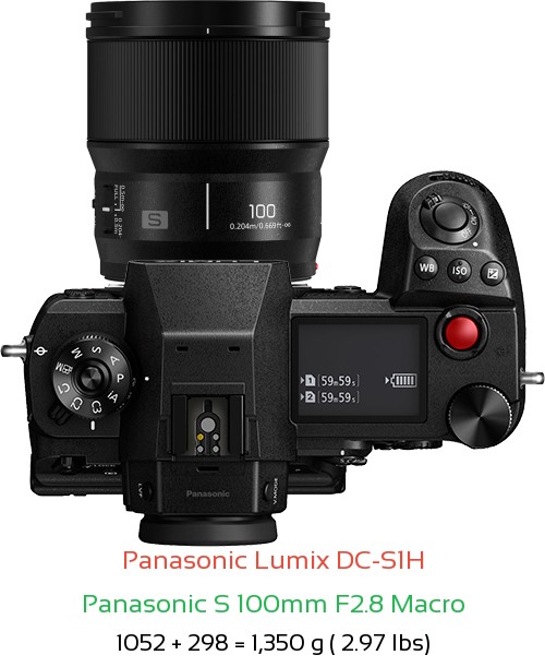 Panasonic S1H with Panasonic S 100mm F2.8 Macro Lens Size