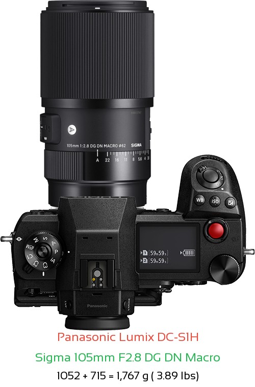 Panasonic S1H with Sigma 105mm F2.8 DG DN Macro Lens Size