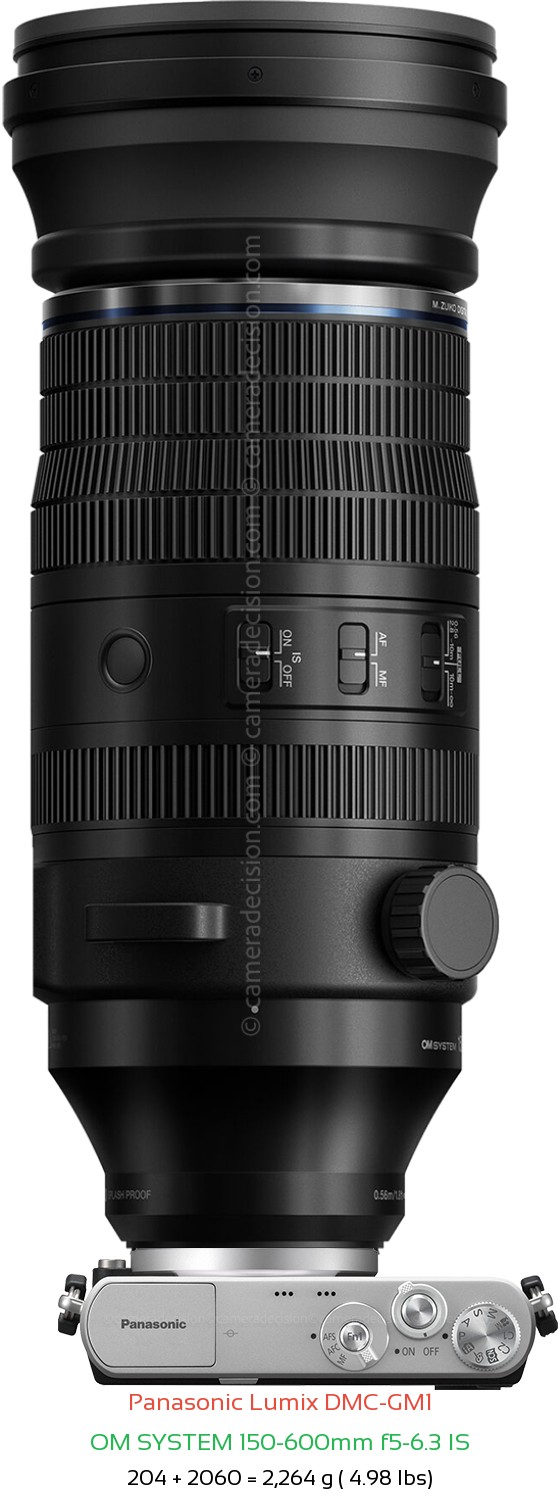 Panasonic GM1 with OM SYSTEM 150-600mm f5-6.3 IS Lens Size
