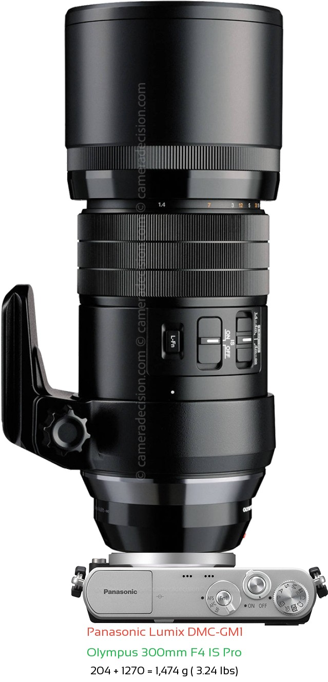 Panasonic GM1 with Olympus 300mm F4 IS Pro Lens Size