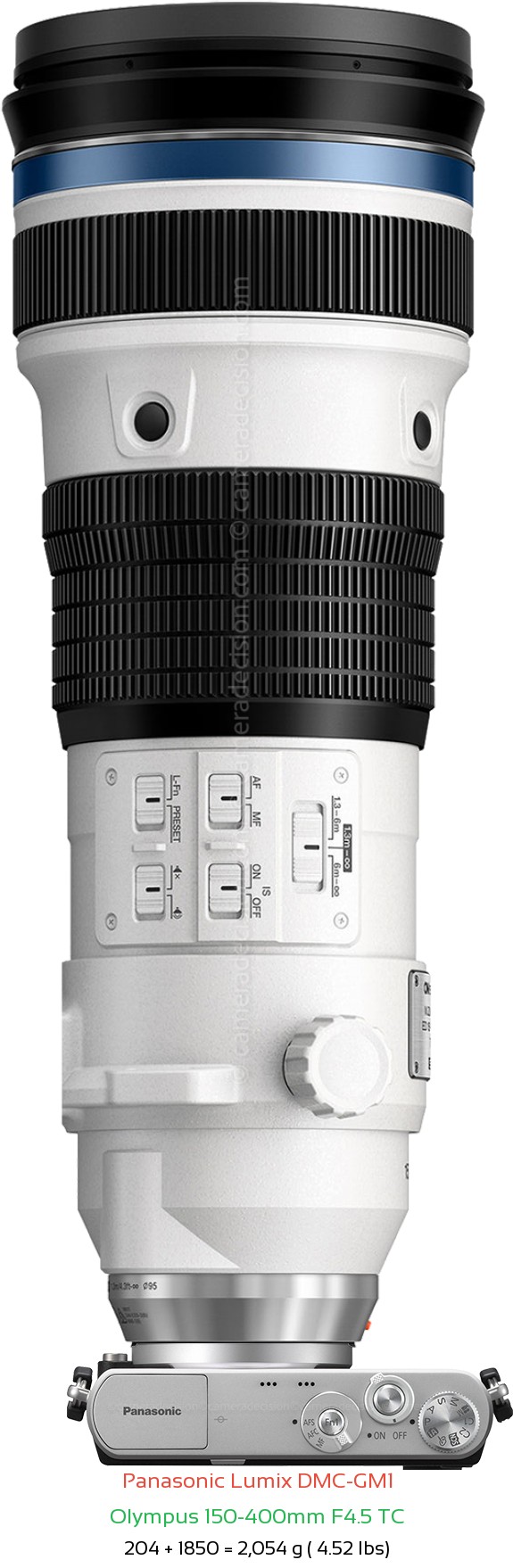 Panasonic GM1 with Olympus 150-400mm F4.5 TC Lens Size