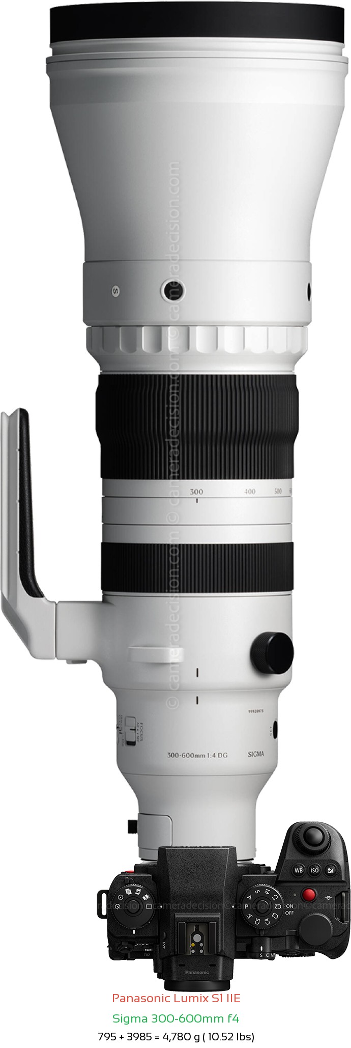 Panasonic S1 IIE with Sigma 300-600mm f4 Lens Size