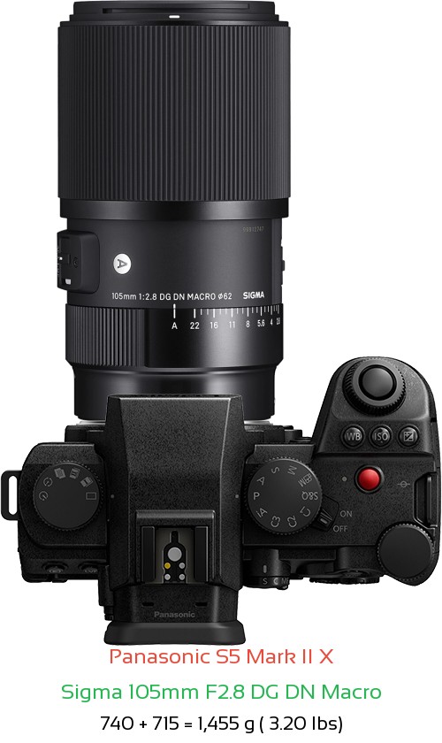 Panasonic S5 II X with Sigma 105mm F2.8 DG DN Macro Lens Size