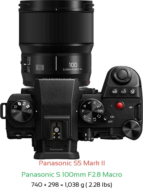 Panasonic S5 II with Panasonic S 100mm F2.8 Macro Lens Size