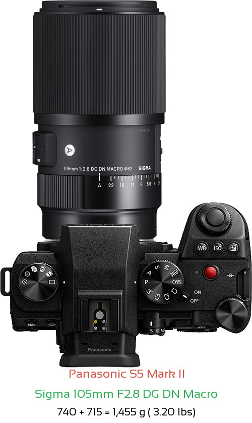 Panasonic S5 II with Sigma 105mm F2.8 DG DN Macro Lens Size
