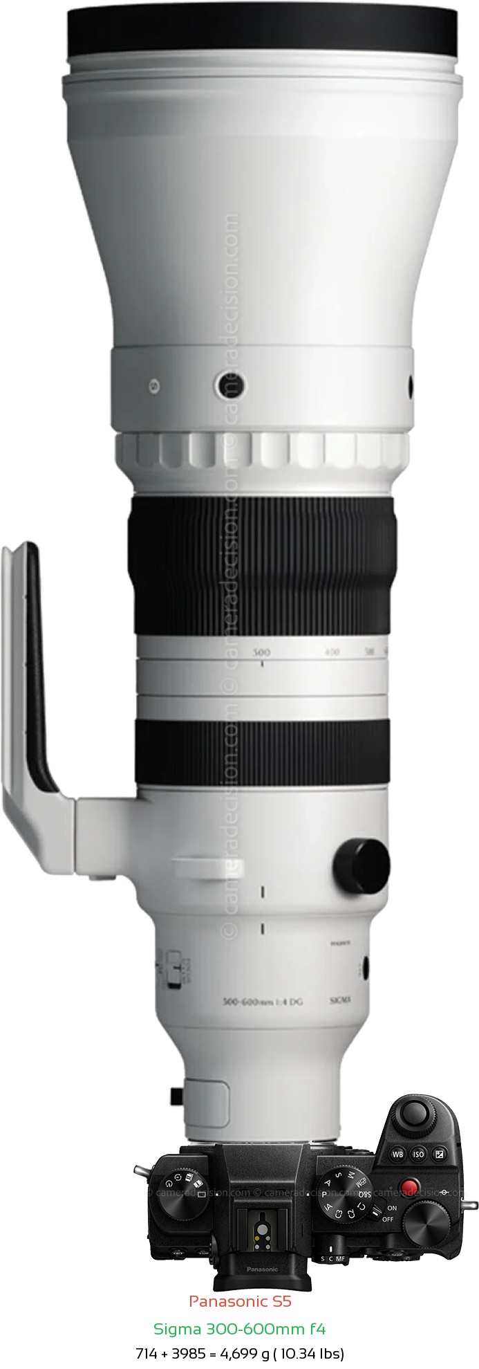 Panasonic S5 with Sigma 300-600mm f4 Lens Size