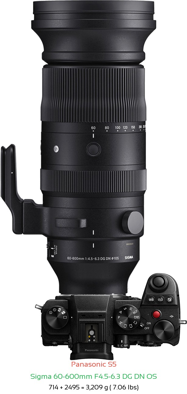 Panasonic S5 with Sigma 60-600mm F4.5-6.3 DG DN Lens Size