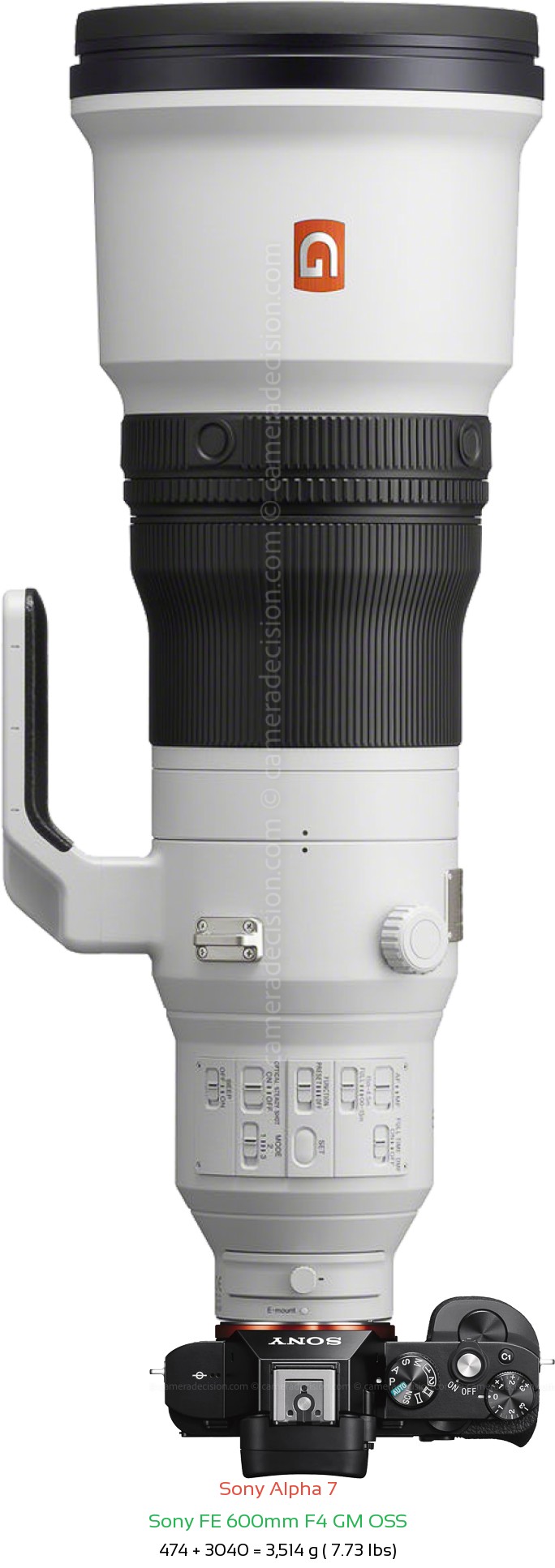 Sony A7 with Sony FE 600mm F4 GM Lens Size