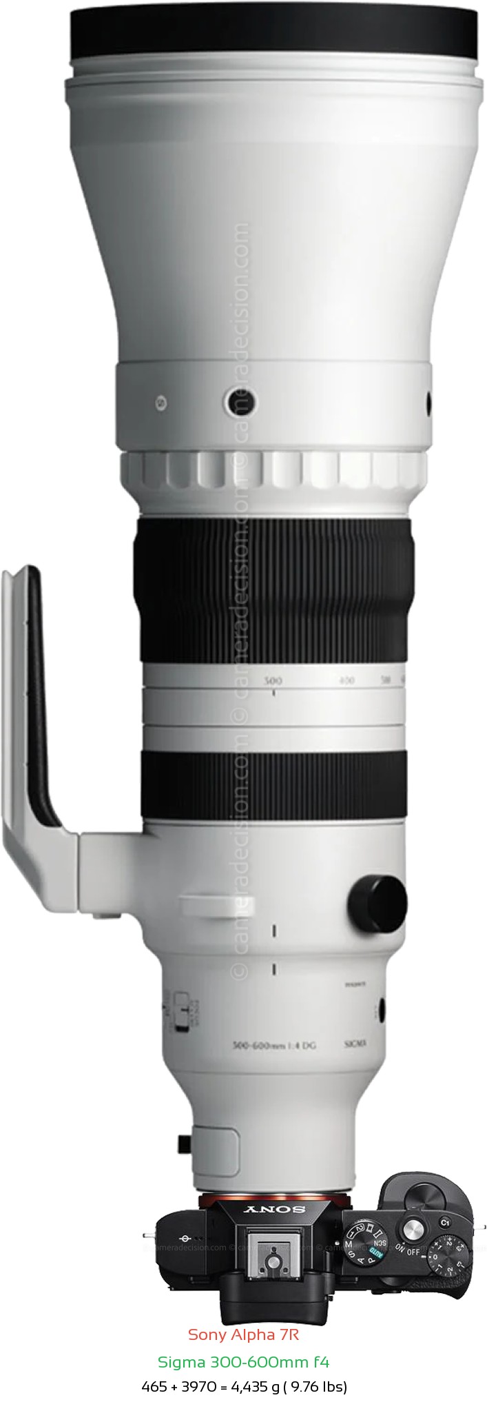 Sony A7R with Sigma 300-600mm f4 Lens Size