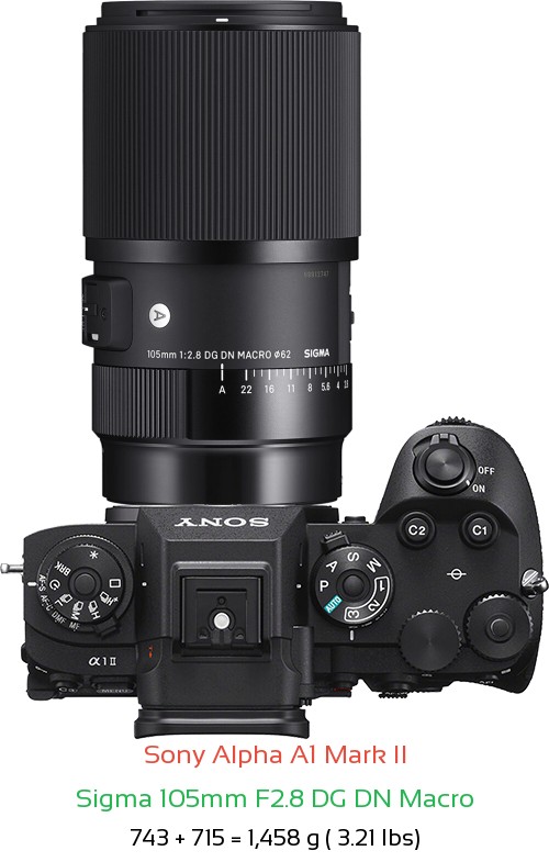 Sony A1 II with Sigma 105mm F2.8 DG DN Macro Lens Size
