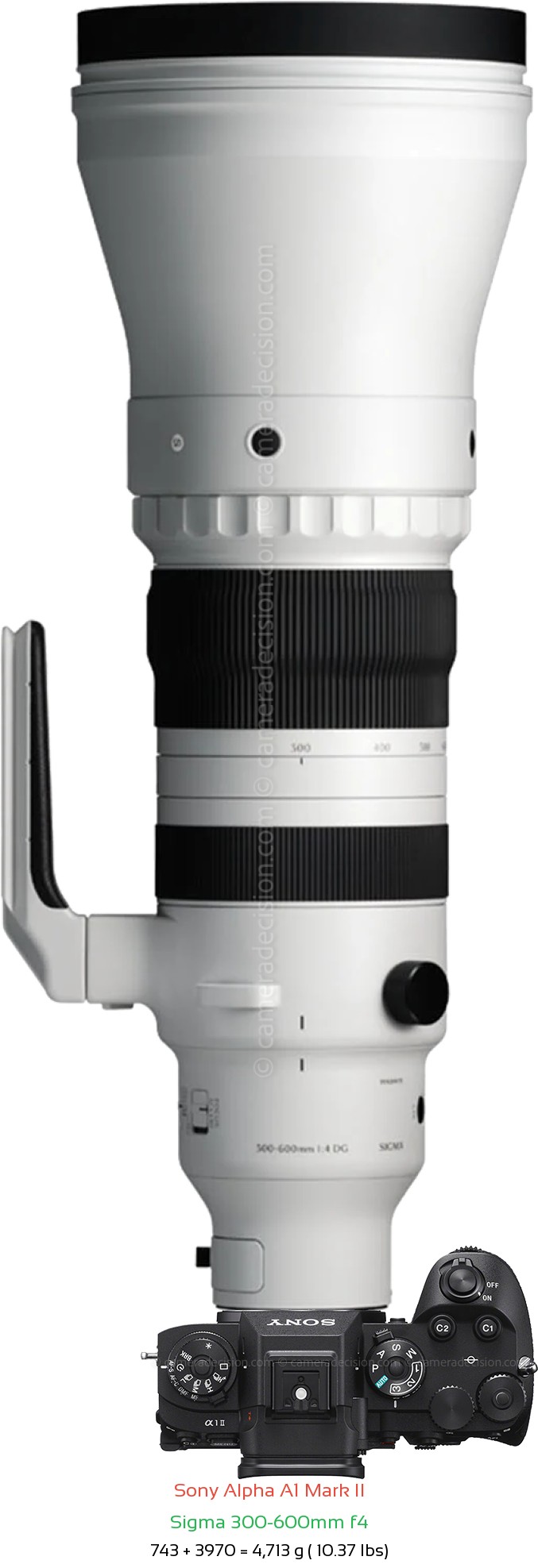 Sony A1 II with Sigma 300-600mm f4 Lens Size