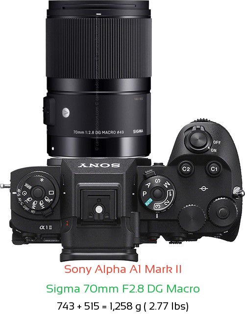 Sony A1 II with Sigma 70mm F2.8 DG Macro Lens Size