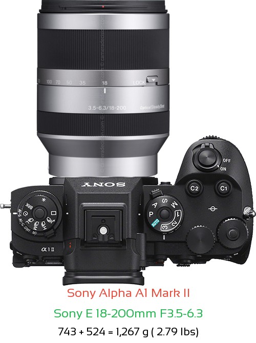 Sony A1 II with Sony E 18-200mm F3.5-6.3 Lens Size