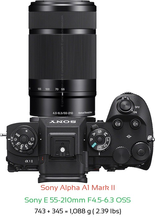 Sony A1 II with Sony E 55-210mm F4.5-6.3 OSS Lens Size