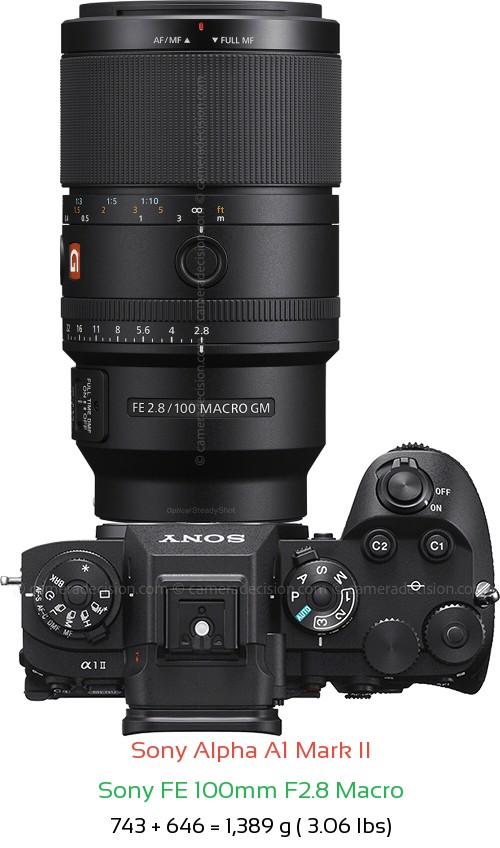 Sony A1 II with Sony FE 100mm F2.8 Macro Lens Size