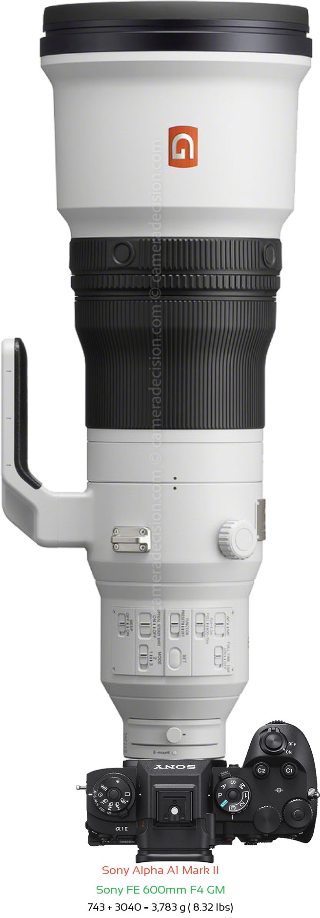 Sony A1 II with Sony FE 600mm F4 GM Lens Size
