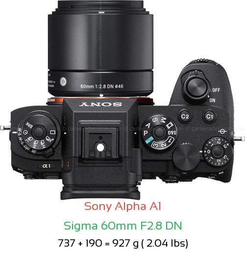 Sony A1 with Sigma 60mm F2.8 DN Lens Size