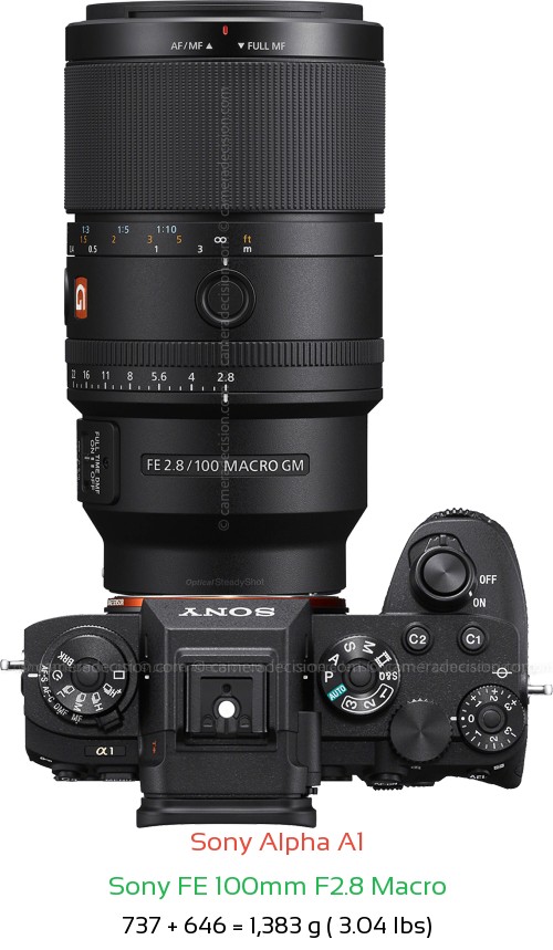 Sony A1 with Sony FE 100mm F2.8 Macro Lens Size