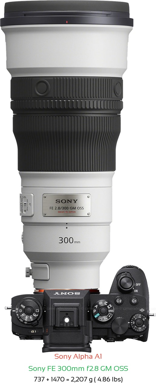 Sony A1 with Sony FE 300mm f2.8 GM Lens Size