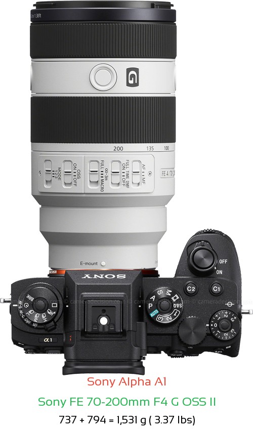 Sony A1 with Sony FE 70-200mm F4 G OSS II Lens Size