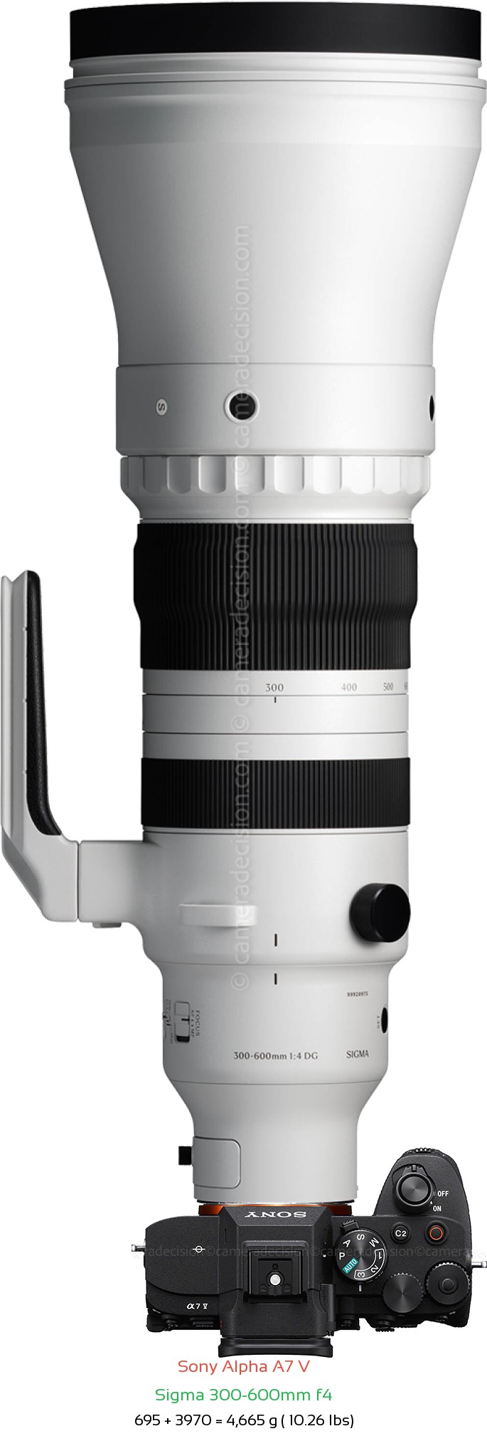 Sony A7 V with Sigma 300-600mm f4 Lens Size