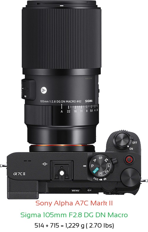 Sony A7C II with Sigma 105mm F2.8 DG DN Macro Lens Size