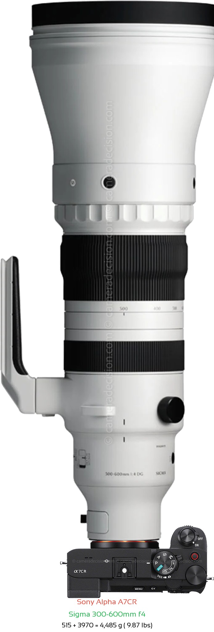 Sony A7CR with Sigma 300-600mm f4 Lens Size