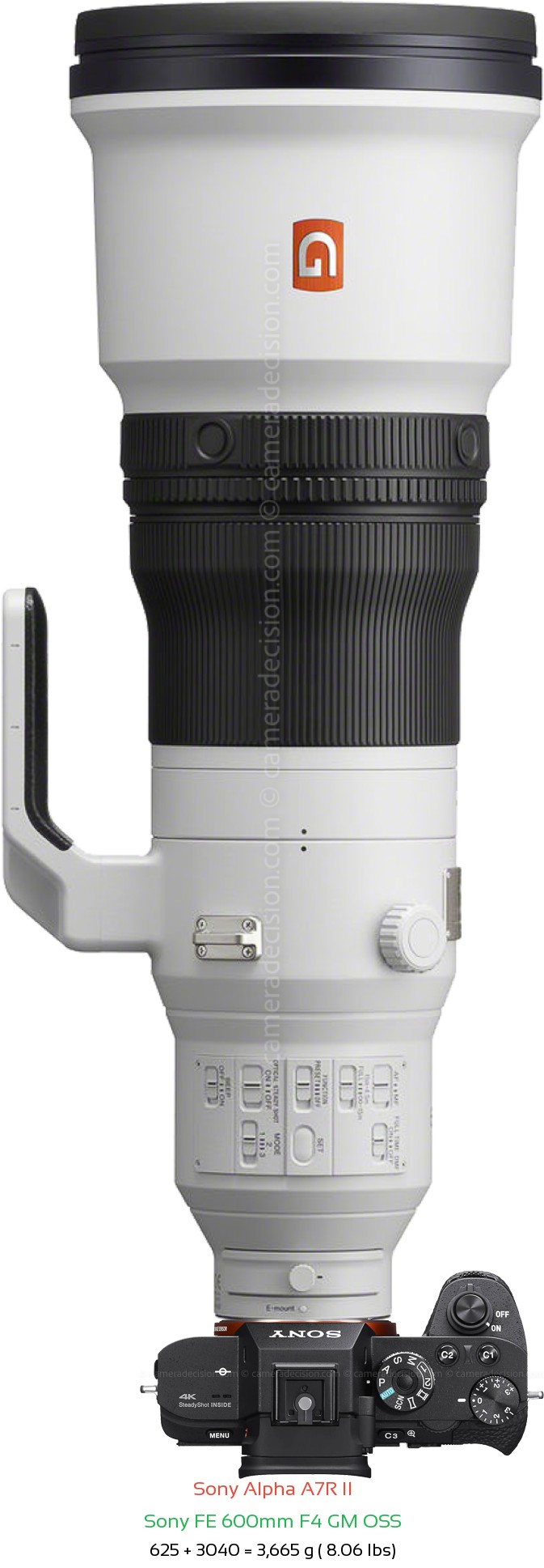 Sony A7R II with Sony FE 600mm F4 GM Lens Size