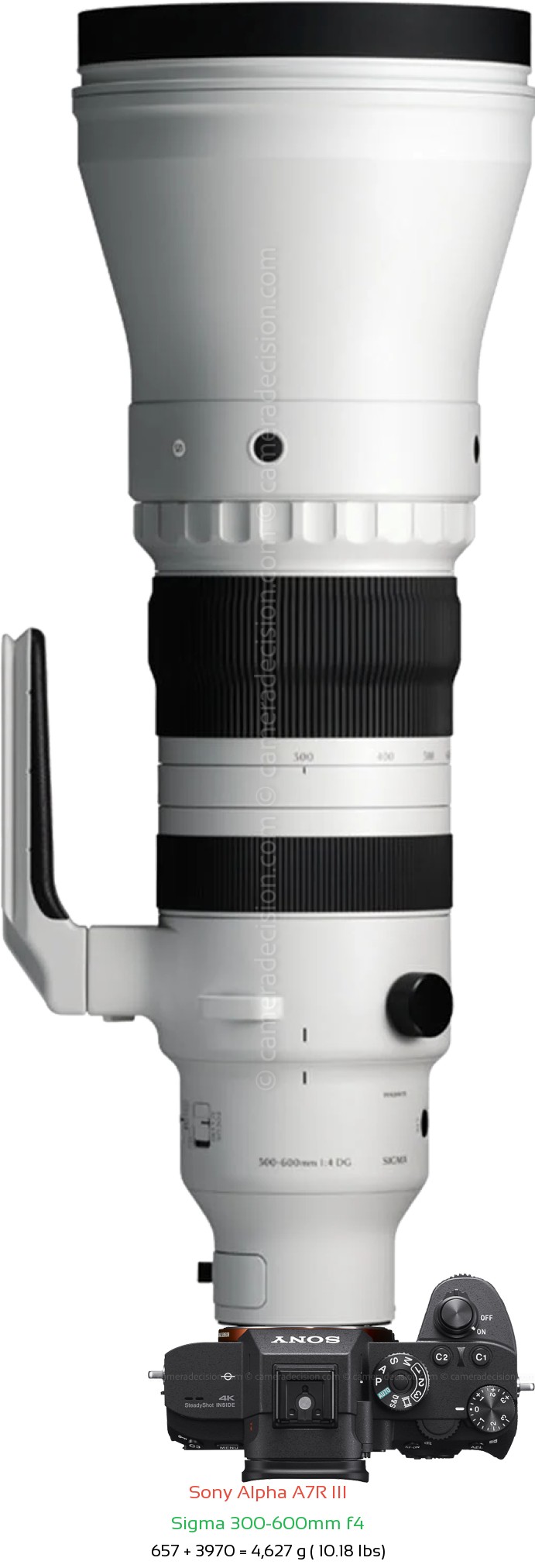 Sony A7R III with Sigma 300-600mm f4 Lens Size