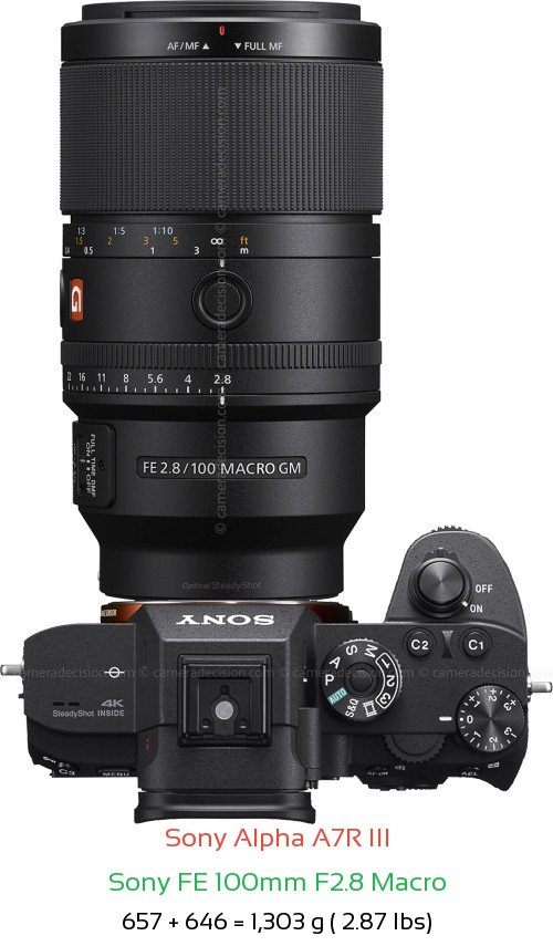 Sony A7R III with Sony FE 100mm F2.8 Macro Lens Size