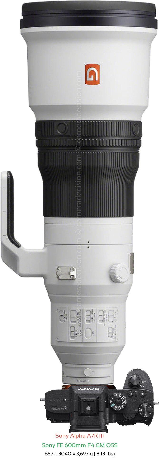 Sony A7R III with Sony FE 600mm F4 GM Lens Size