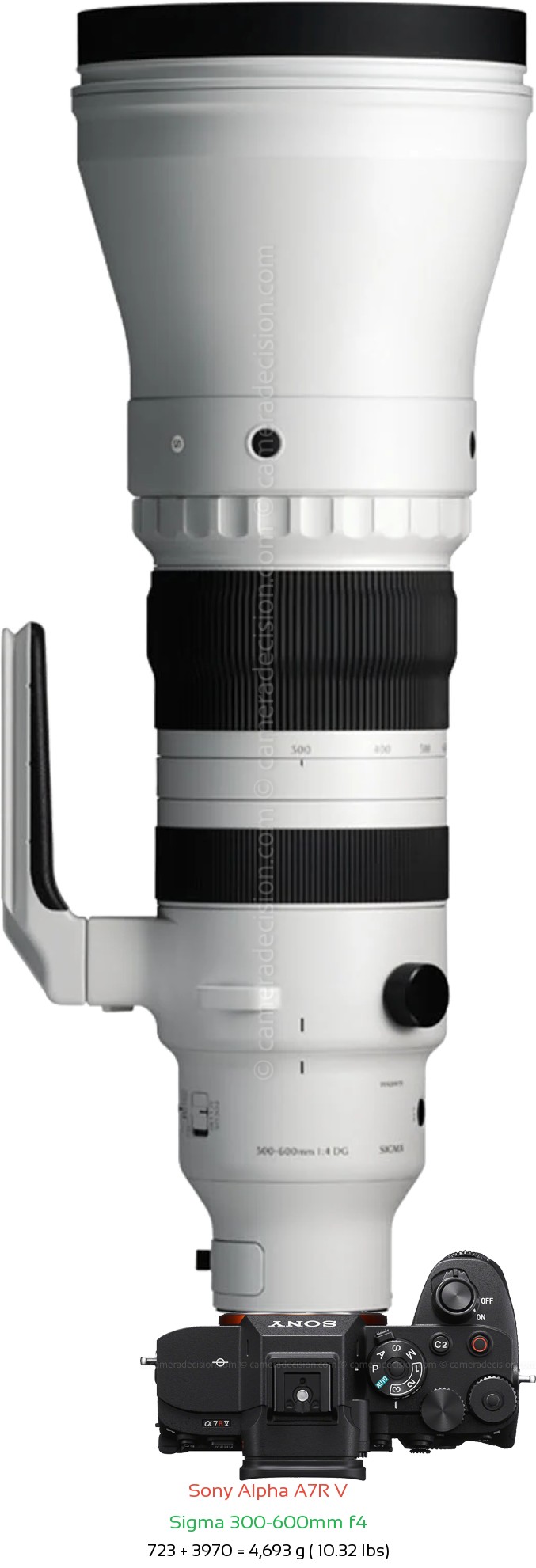 Sony A7R V with Sigma 300-600mm f4 Lens Size