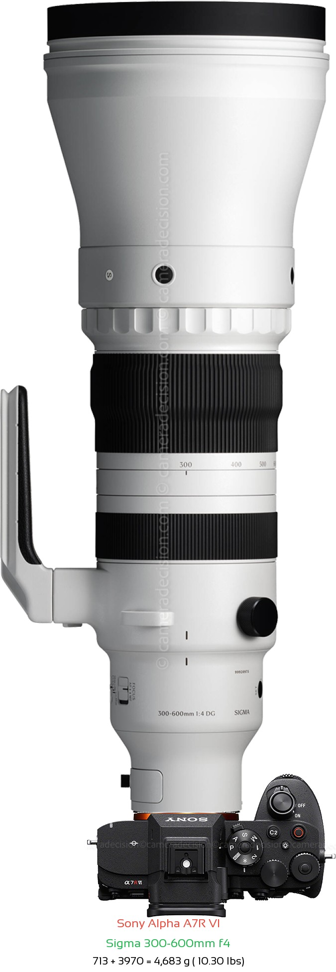Sony A7R VI with Sigma 300-600mm f4 Lens Size