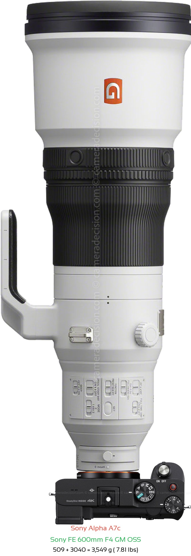 Sony A7c with Sony FE 600mm F4 GM Lens Size