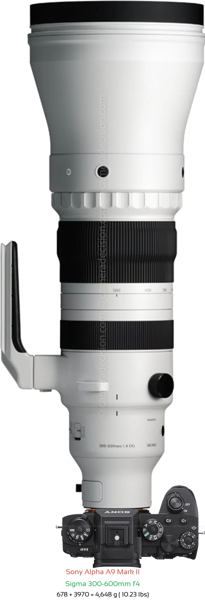 Sony A9 II with Sigma 300-600mm f4 Lens Size