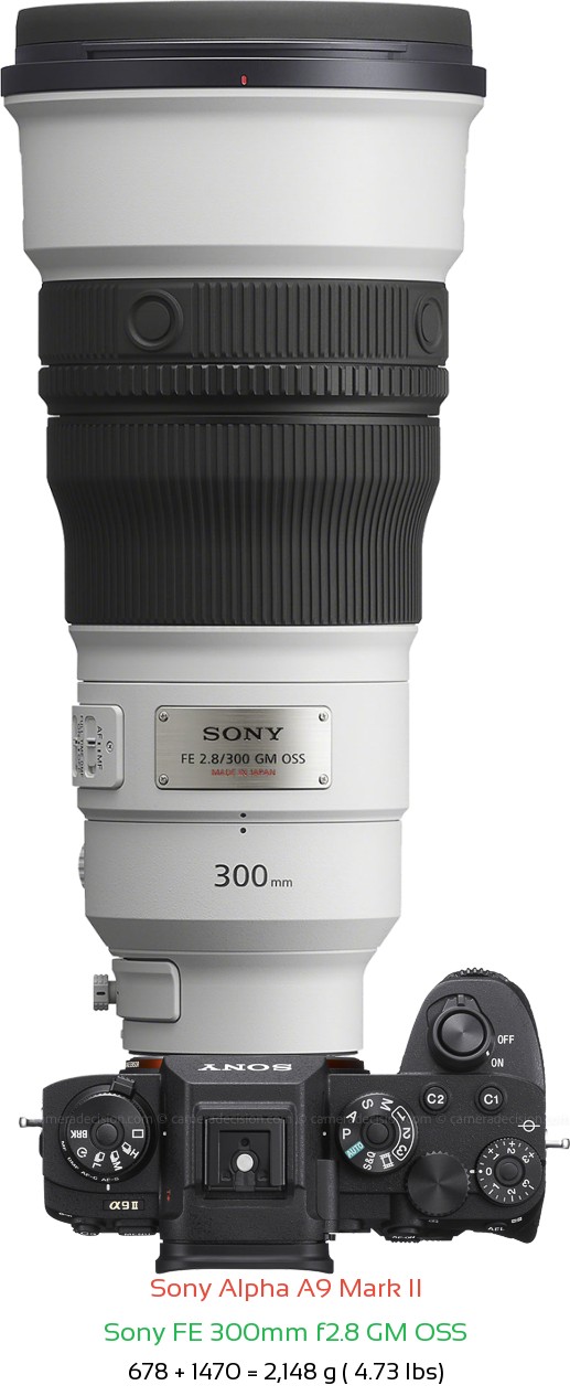 Sony A9 II with Sony FE 300mm f2.8 GM Lens Size