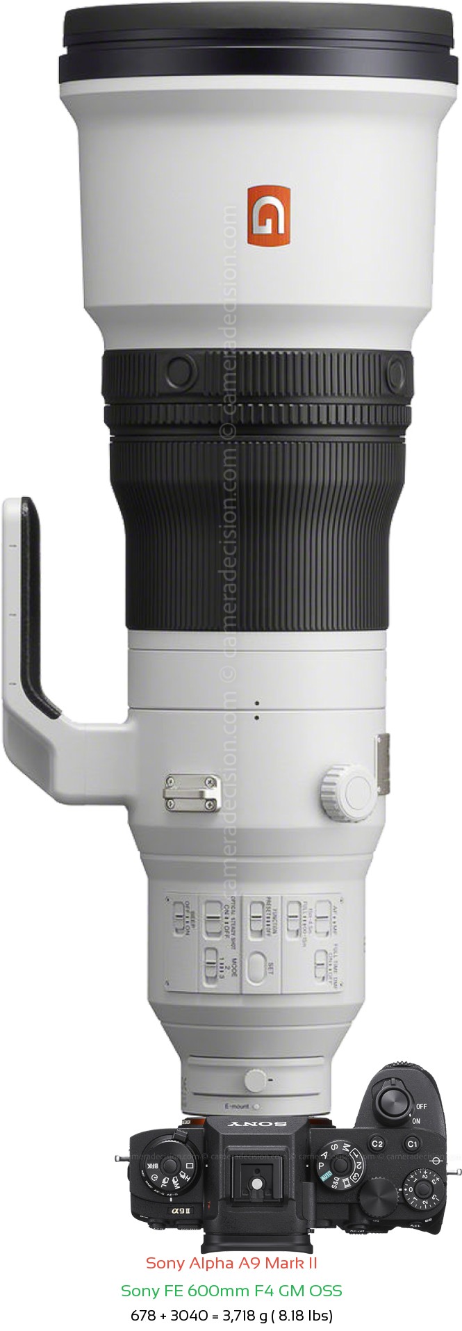 Sony A9 II with Sony FE 600mm F4 GM Lens Size